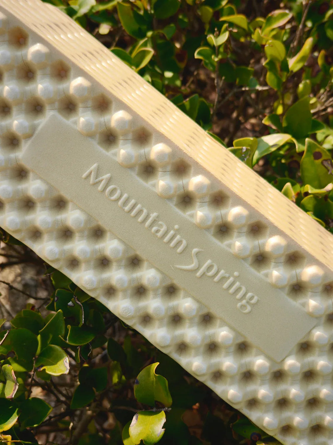 CaneNest Bio-Based Foam Pad